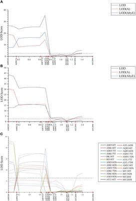 Fine mapping of QYrsv.swust-1BL for resistance to stripe rust in durum wheat Svevo